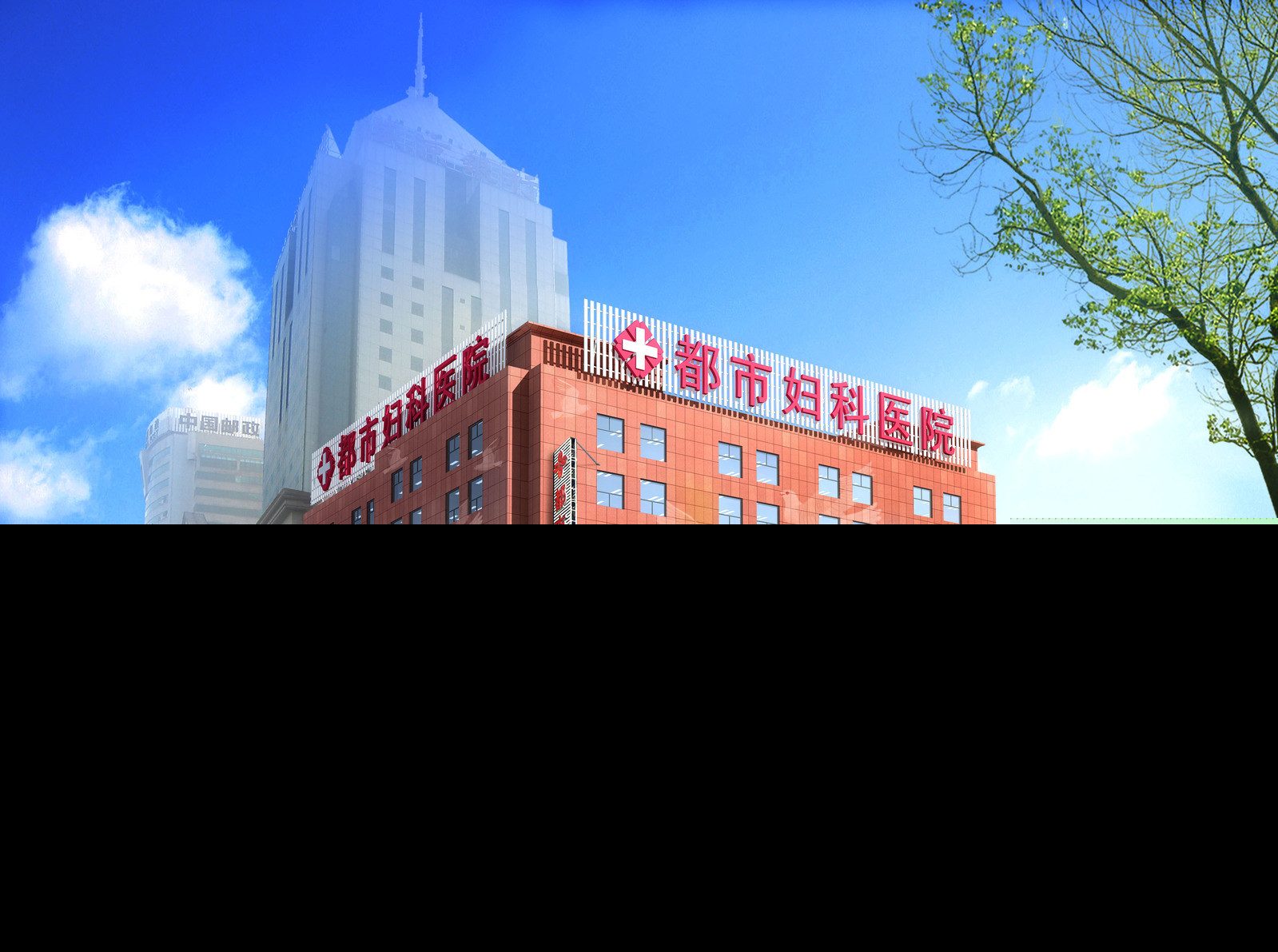 沈阳都市医院(私密中心)